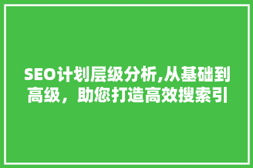 SEO计划层级分析,从基础到高级，助您打造高效搜索引擎优化步骤 响应式设计