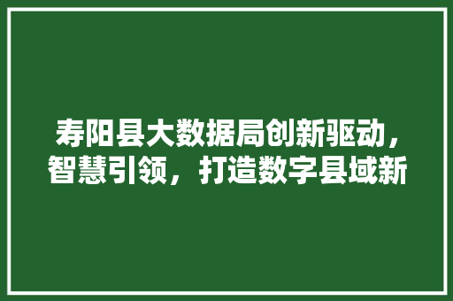 寿阳县大数据局创新驱动，智慧引领，打造数字县域新标杆