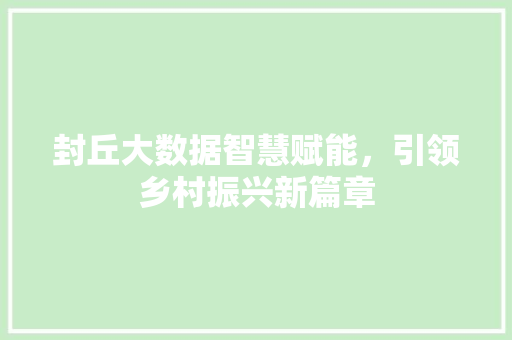 封丘大数据智慧赋能，引领乡村振兴新篇章