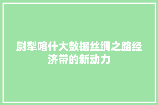 尉犁喀什大数据丝绸之路经济带的新动力
