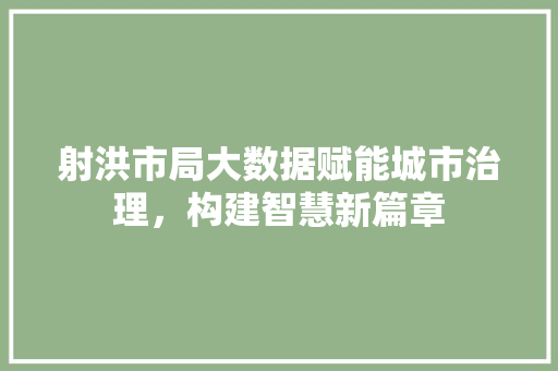 射洪市局大数据赋能城市治理，构建智慧新篇章