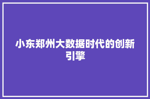 小东郑州大数据时代的创新引擎