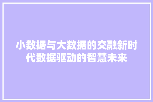 小数据与大数据的交融新时代数据驱动的智慧未来