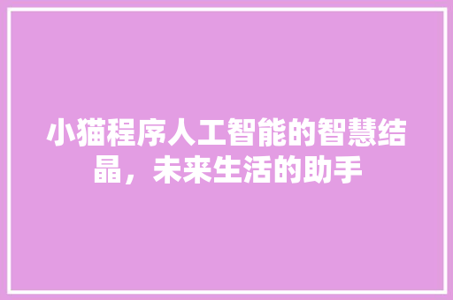 小猫程序人工智能的智慧结晶，未来生活的助手