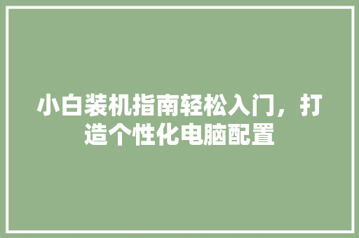小白装机指南轻松入门，打造个性化电脑配置