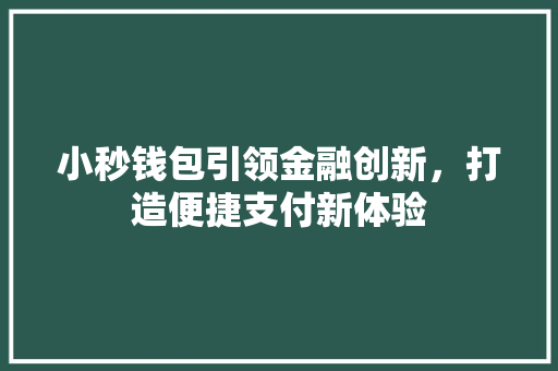 小秒钱包引领金融创新，打造便捷支付新体验