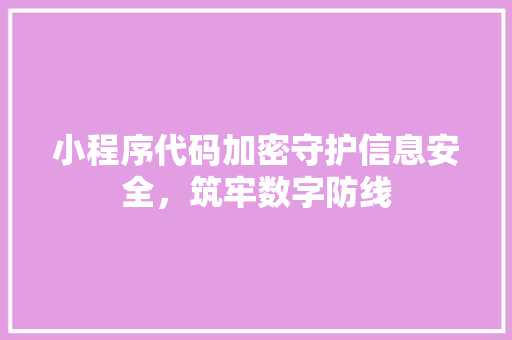 小程序代码加密守护信息安全，筑牢数字防线