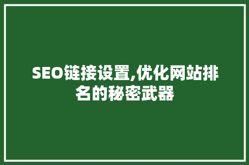 SEO链接设置,优化网站排名的秘密武器