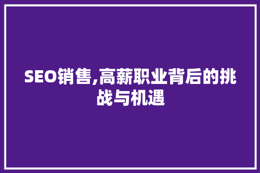 SEO销售,高薪职业背后的挑战与机遇 网站建设
