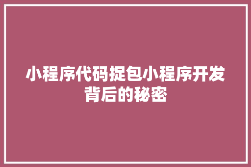 小程序代码捉包小程序开发背后的秘密