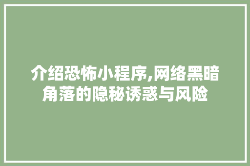 介绍恐怖小程序,网络黑暗角落的隐秘诱惑与风险