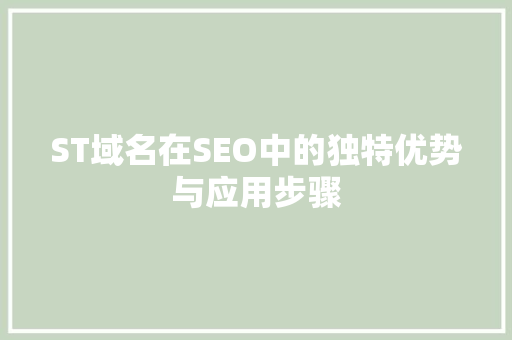 ST域名在SEO中的独特优势与应用步骤 项目报告