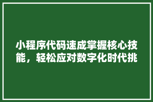 小程序代码速成掌握核心技能，轻松应对数字化时代挑战