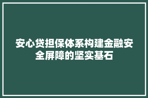 安心贷担保体系构建金融安全屏障的坚实基石