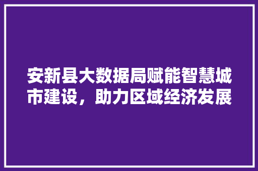 安新县大数据局赋能智慧城市建设，助力区域经济发展