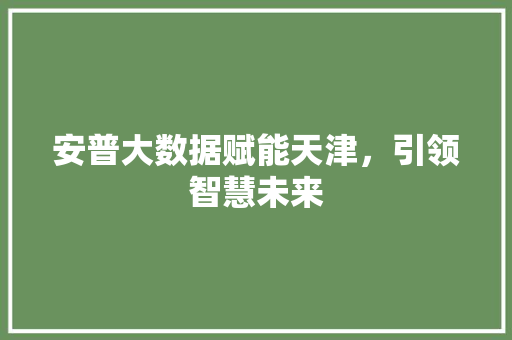 安普大数据赋能天津，引领智慧未来