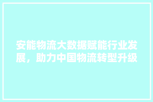 安能物流大数据赋能行业发展，助力中国物流转型升级