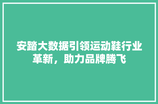 安踏大数据引领运动鞋行业革新，助力品牌腾飞