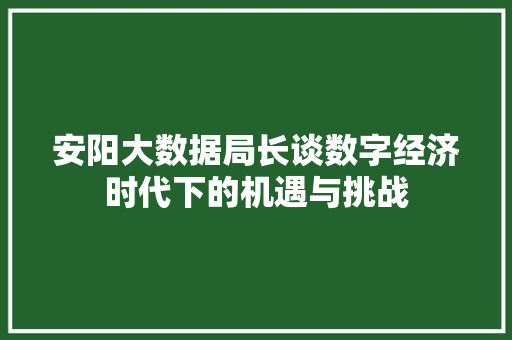 安阳大数据局长谈数字经济时代下的机遇与挑战