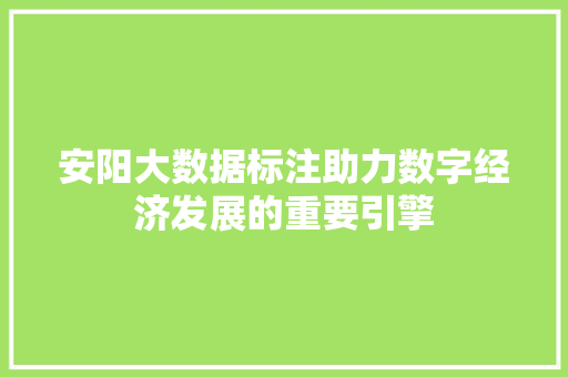 安阳大数据标注助力数字经济发展的重要引擎