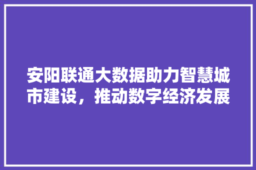 安阳联通大数据助力智慧城市建设，推动数字经济发展