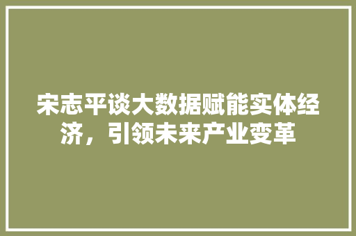 宋志平谈大数据赋能实体经济，引领未来产业变革