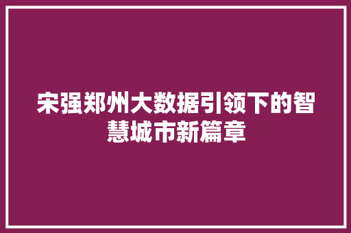 宋强郑州大数据引领下的智慧城市新篇章
