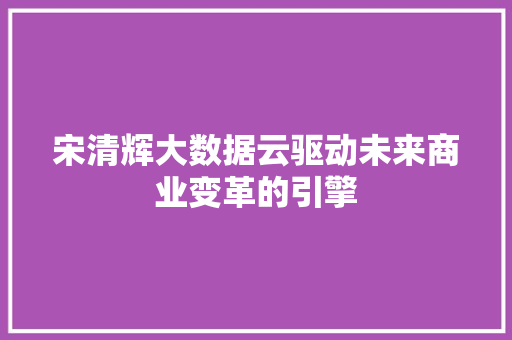 宋清辉大数据云驱动未来商业变革的引擎