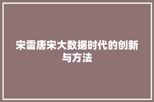 宋雷唐宋大数据时代的创新与方法