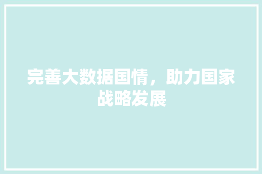 完善大数据国情，助力国家战略发展