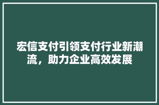 宏信支付引领支付行业新潮流，助力企业高效发展