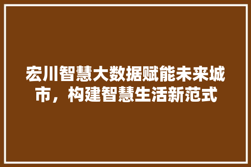 宏川智慧大数据赋能未来城市，构建智慧生活新范式