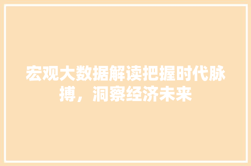 宏观大数据解读把握时代脉搏，洞察经济未来
