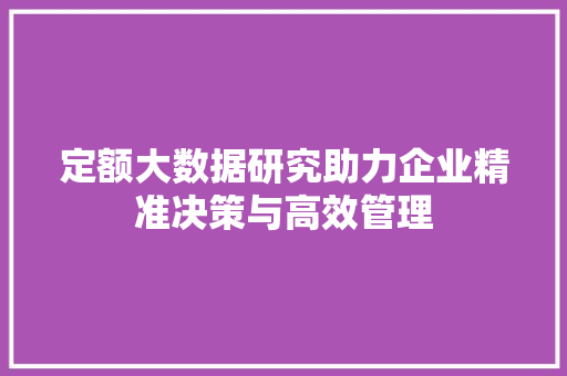 定额大数据研究助力企业精准决策与高效管理