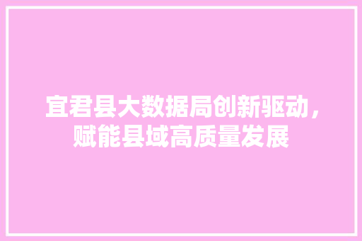 宜君县大数据局创新驱动，赋能县域高质量发展