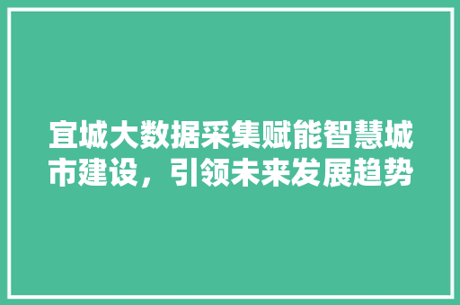 宜城大数据采集赋能智慧城市建设，引领未来发展趋势