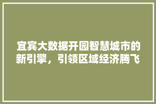 宜宾大数据开园智慧城市的新引擎，引领区域经济腾飞