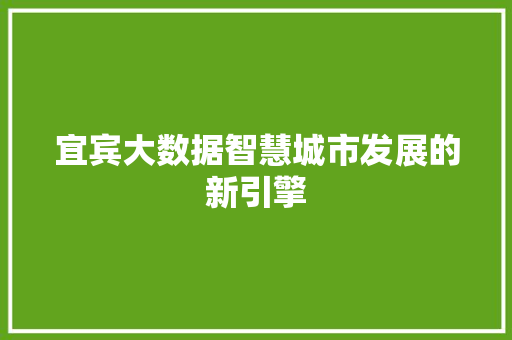 宜宾大数据智慧城市发展的新引擎