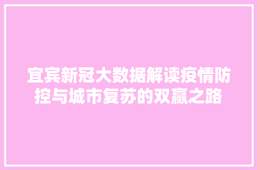 宜宾新冠大数据解读疫情防控与城市复苏的双赢之路