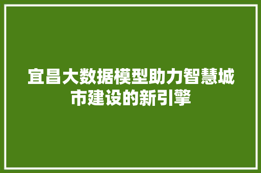 宜昌大数据模型助力智慧城市建设的新引擎