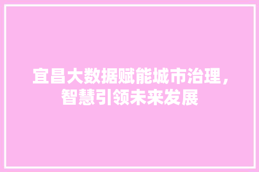 宜昌大数据赋能城市治理，智慧引领未来发展