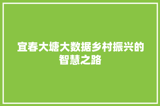 宜春大塘大数据乡村振兴的智慧之路