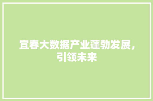 宜春大数据产业蓬勃发展，引领未来
