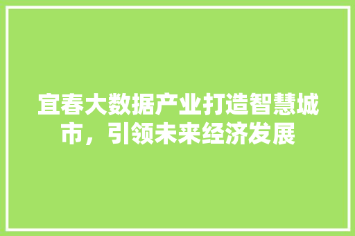 宜春大数据产业打造智慧城市，引领未来经济发展