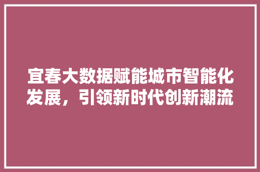 宜春大数据赋能城市智能化发展，引领新时代创新潮流