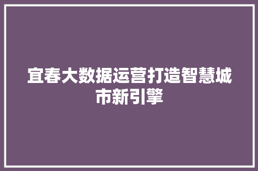 宜春大数据运营打造智慧城市新引擎