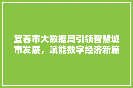 宜春市大数据局引领智慧城市发展，赋能数字经济新篇章