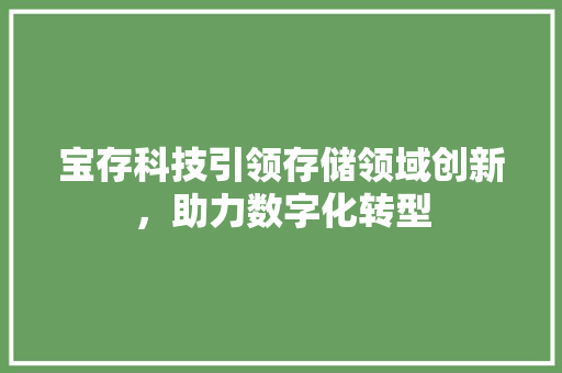 宝存科技引领存储领域创新，助力数字化转型