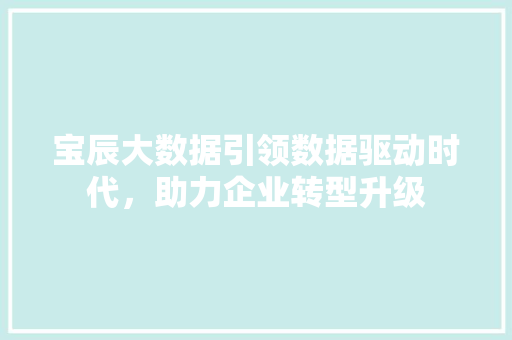 宝辰大数据引领数据驱动时代，助力企业转型升级