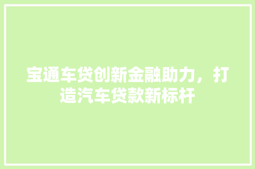 宝通车贷创新金融助力，打造汽车贷款新标杆